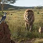 James Earl Jones, John Oliver, and JD McCrary in The Lion King (2019)