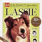 Jon Provost, Tommy Rettig, Lassie the Dog, and Lassie in Lassie (1954)