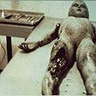 The Alien Autopsy (1995)