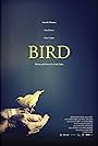 Bird (2017)