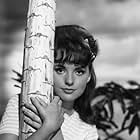 Dawn Wells in Gilligan's Island (1964)