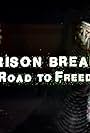 Prison Break: The Road to Freedom (2007)