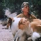 Henry Wilcoxon, Lassie the Dog, and Lassie in Lassie (1954)