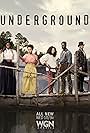 Christopher Meloni, Aldis Hodge, Jurnee Smollett, Aisha Hinds, Jessica De Gouw, Amirah Vann, and Alano Miller in Underground (2016)