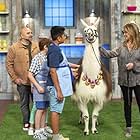 Valerie Bertinelli, Saleem Sandhu, and Duff Goldman in Llama Drama (2020)