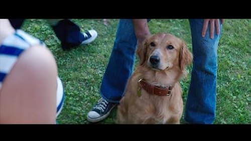 A Dog's Purpose