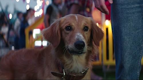 A Dog's Purpose: Bailey Notices A New Smell On Ethan