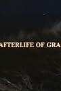 The Afterlife of Grandpa (1989)