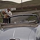 Veronica Cartwright, Tippi Hedren, and Rod Taylor in The Birds (1963)