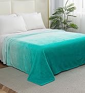 Elegant Comfort Luxury Velvety Feel Blanket, All-Season Lightweight Blanket, Ultra Plush, Soft, C...