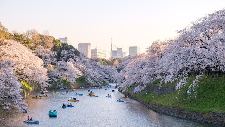 27 Best Things to Do in Tokyo