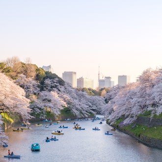 The 27 Best Things to Do in Tokyo