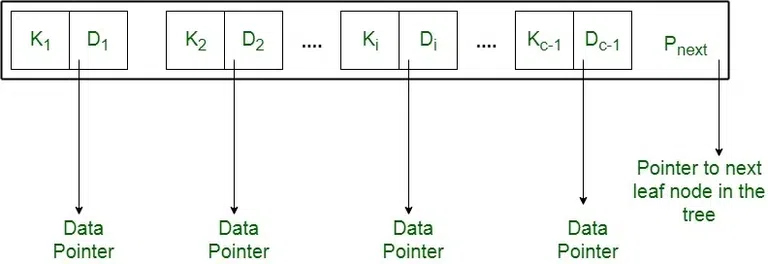 Structure of Lead Node