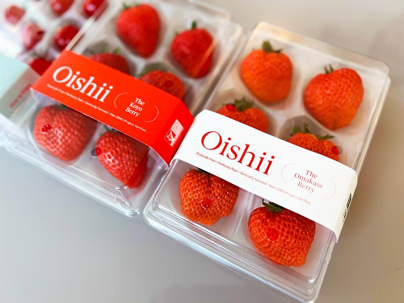 oishii farm Strawberry omakase koyo