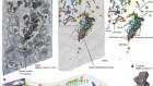 Jurassic fossil juvenile reveals prolonged life history in early mammals