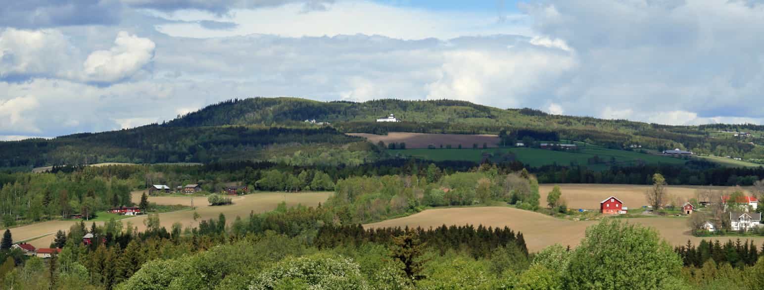 Høsbjørkampen, Ringsaker