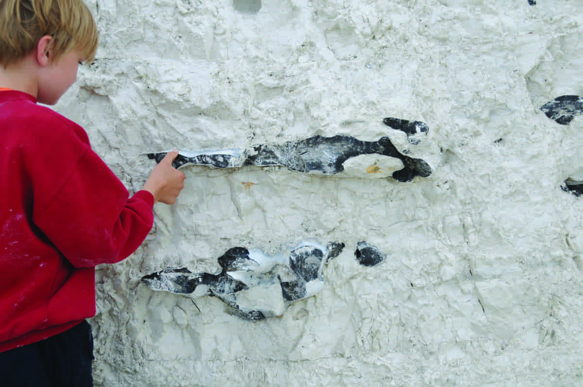 Flint i krittbergart, Møns Klint, Danmark