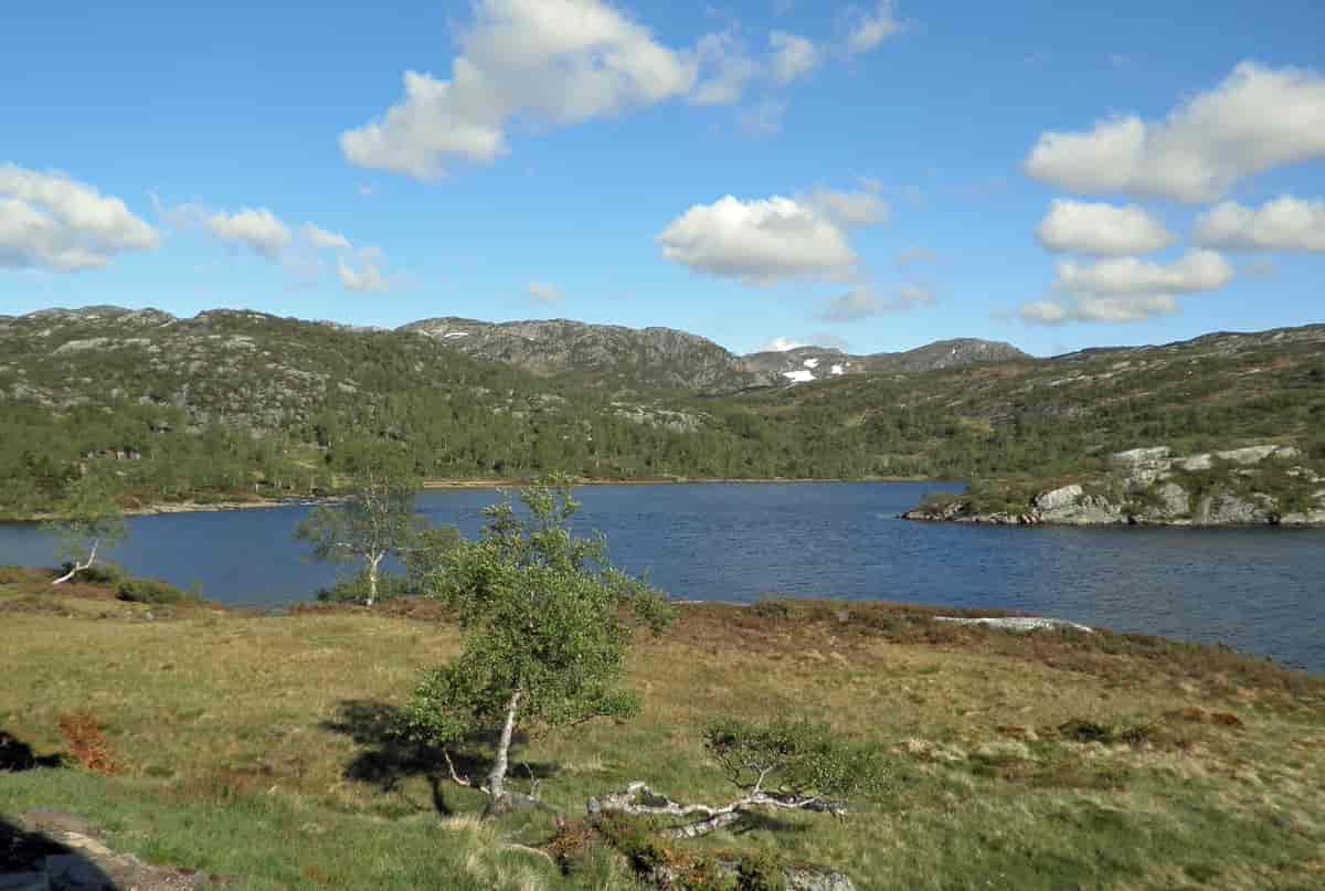 Holmevatnet