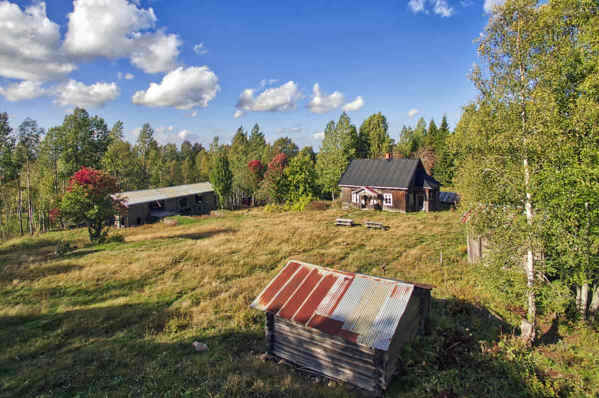 Abborhøgda