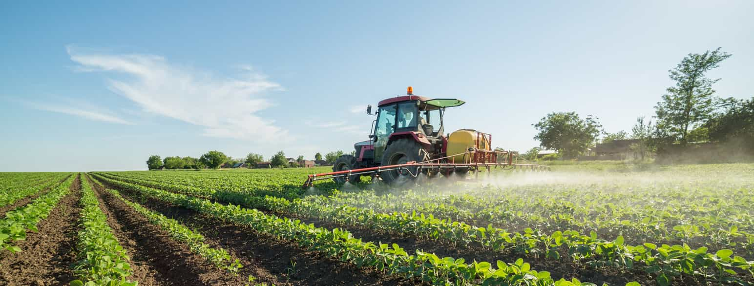 traktor kjører mellom rader med planter