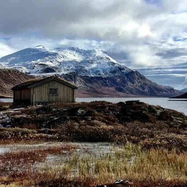 Vinjebue på Eidsbugarden (Jotunheimen) i 2014