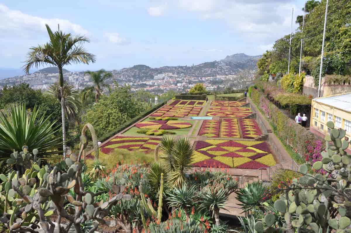 Jardim Botanico da Madeiria