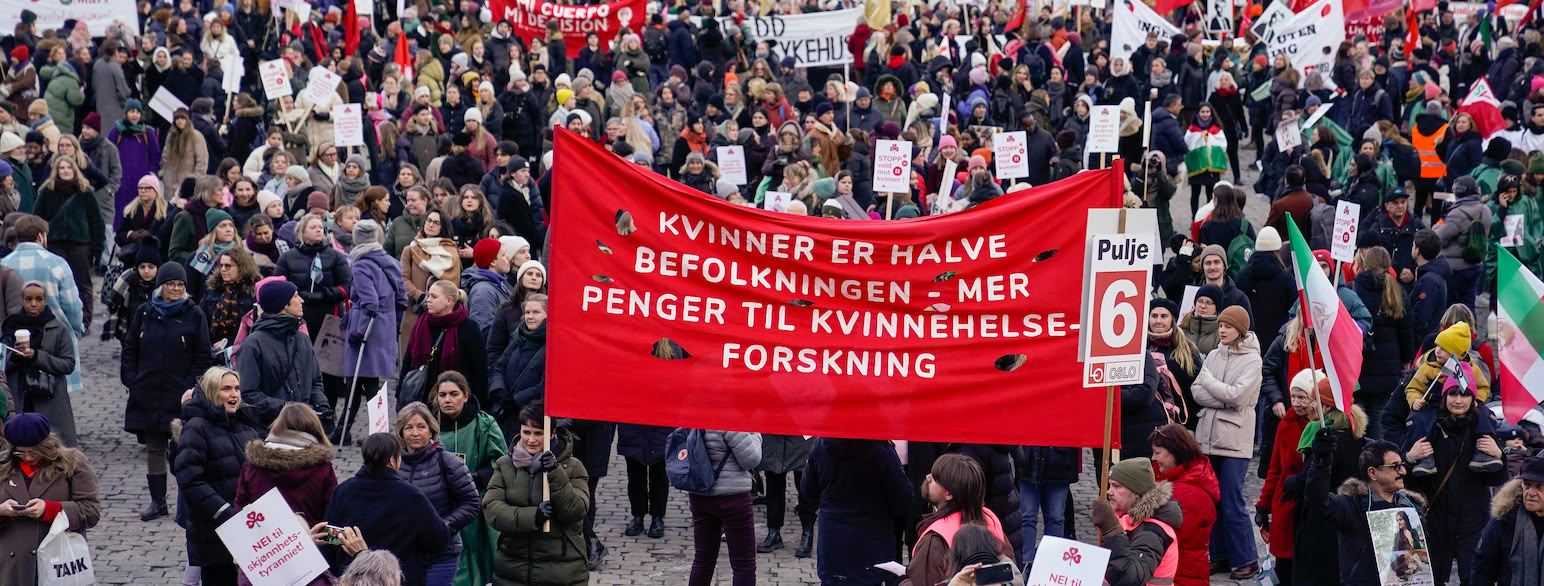 Mange mennesker i vinterklær samlet på en stor åpen plass. Noen av dem har plakater med tekst, andre har flagg. Midt i bildet holder noen en stor rød fane hvor det står «Kvinner er halve befolkningen – mer penger til kvinnehelseforskning» med hvite bokstaver. Foto