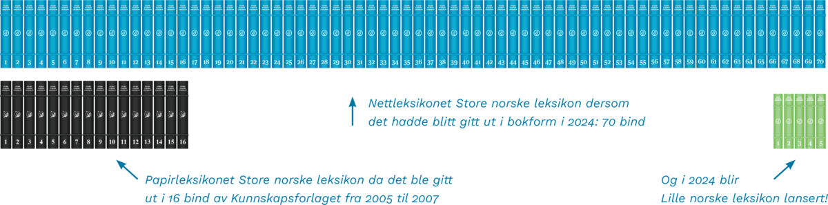 Nettleksikonet sammenlignet med papirleksikonet