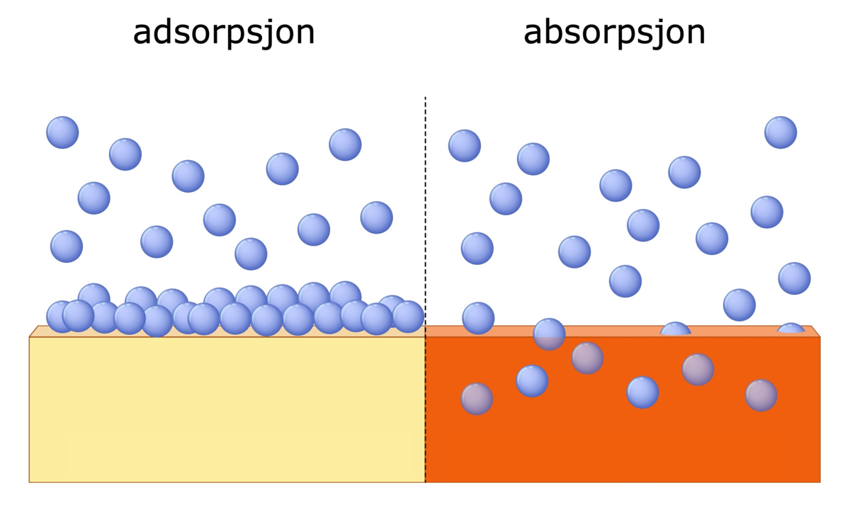 Adsorpsjon og absorpsjon