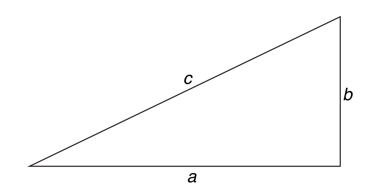 Hypotenus