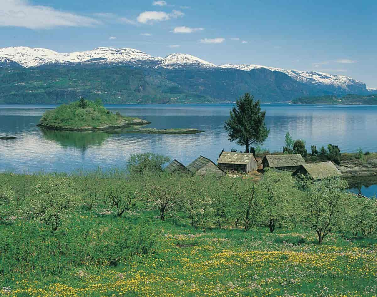 Hardanger