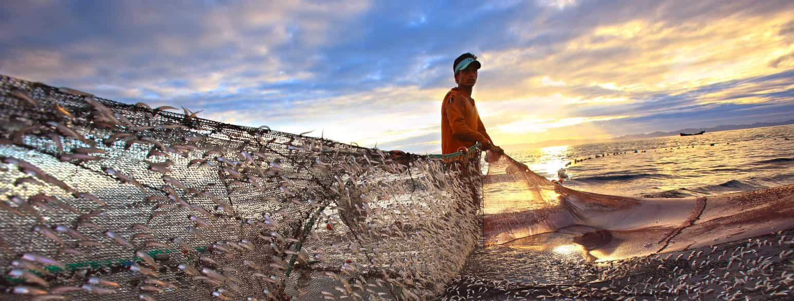 Fiske i Bengalbukta, Bangladesh