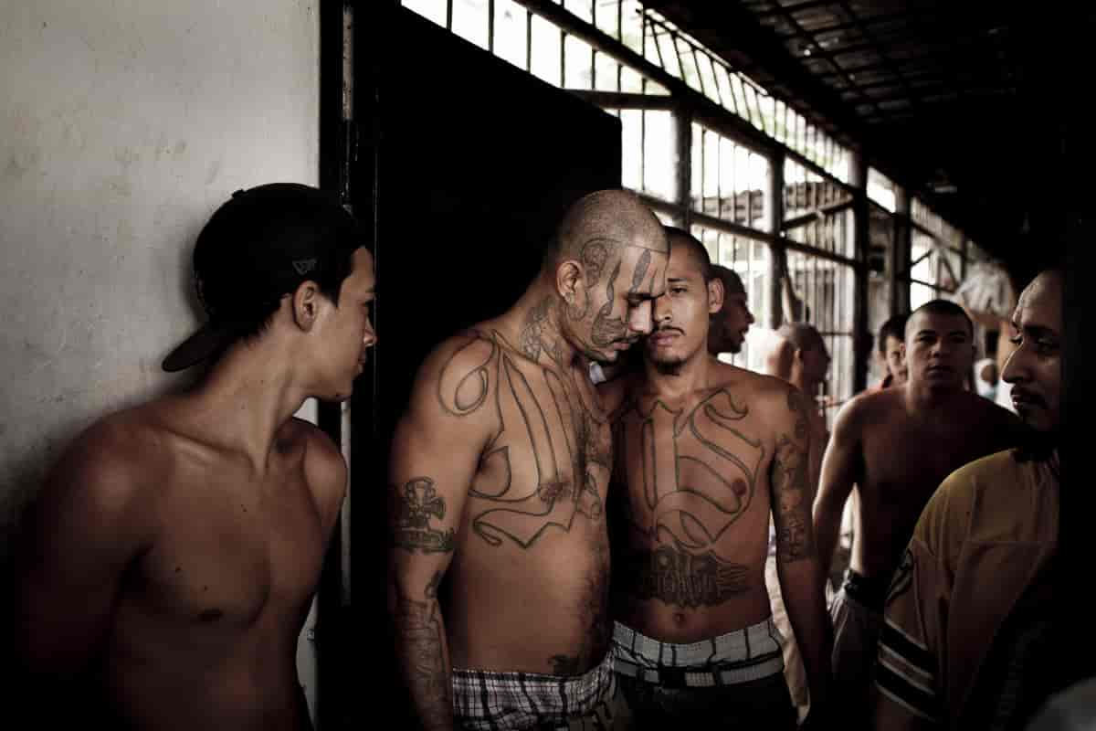 MS-13