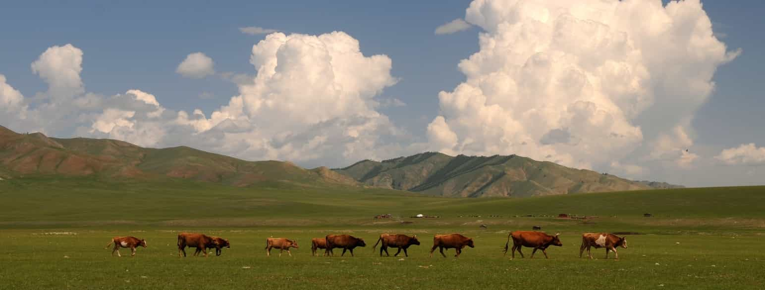 Mongolia