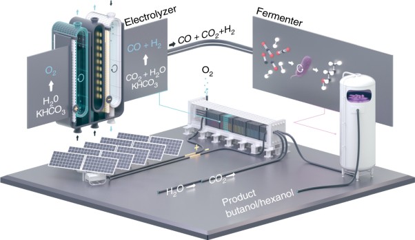 Technical photosynthesis involving CO<sub>2</sub> electrolysis and fermentation