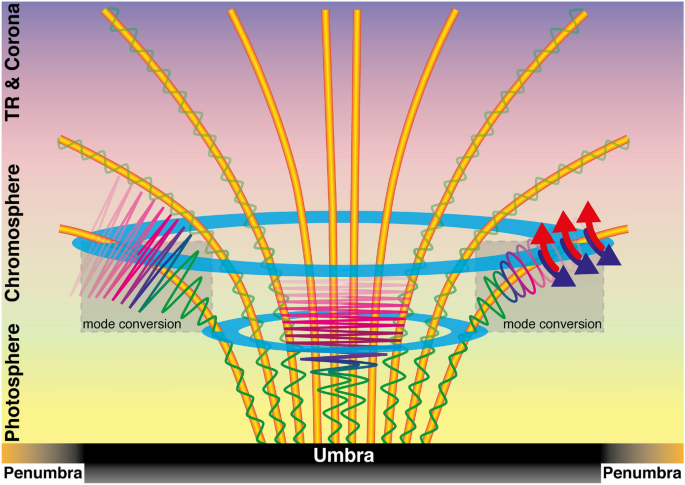 figure 51