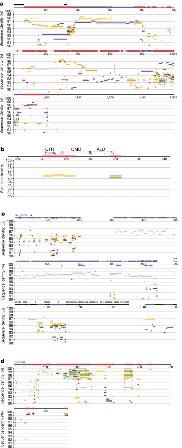 figure 32