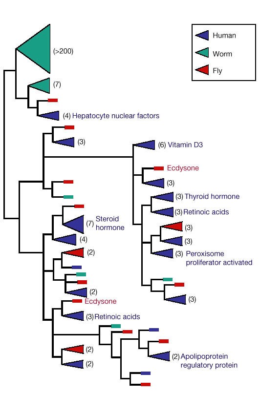 figure 39