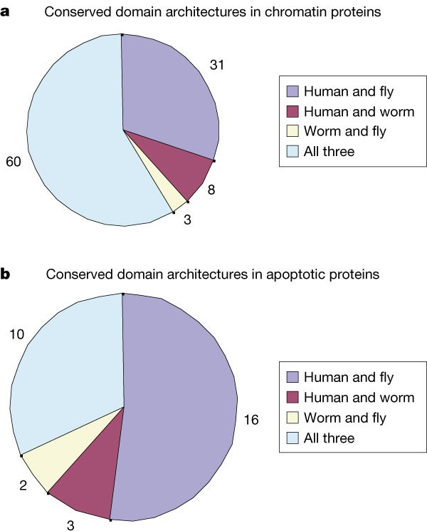 figure 43