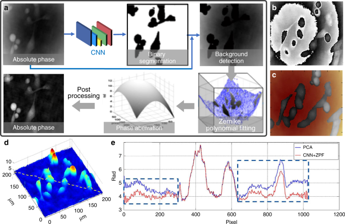 figure 24