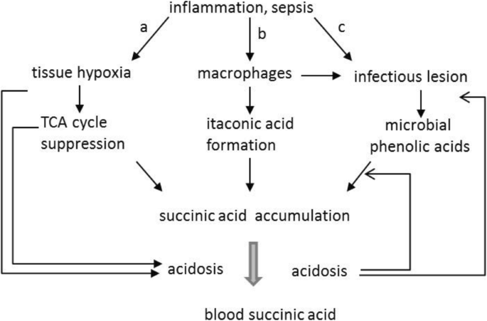 figure 161