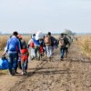 World Refugee Day 2024: Highlights from the BMC Series
