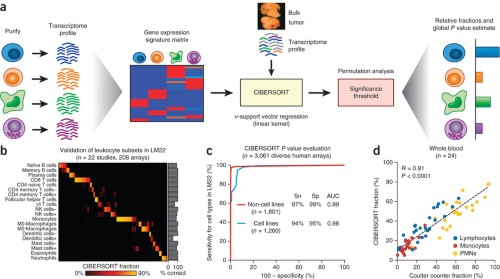 Overview of CIBERSORT and application to leukocyte deconvolution.