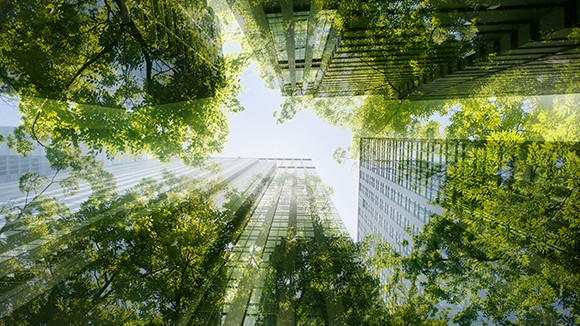 Cityscape mixed with green plants