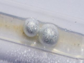 物質には“固体かつ液体の状態“が存在する？ 「水に浸したスポンジのよう」英大学研究