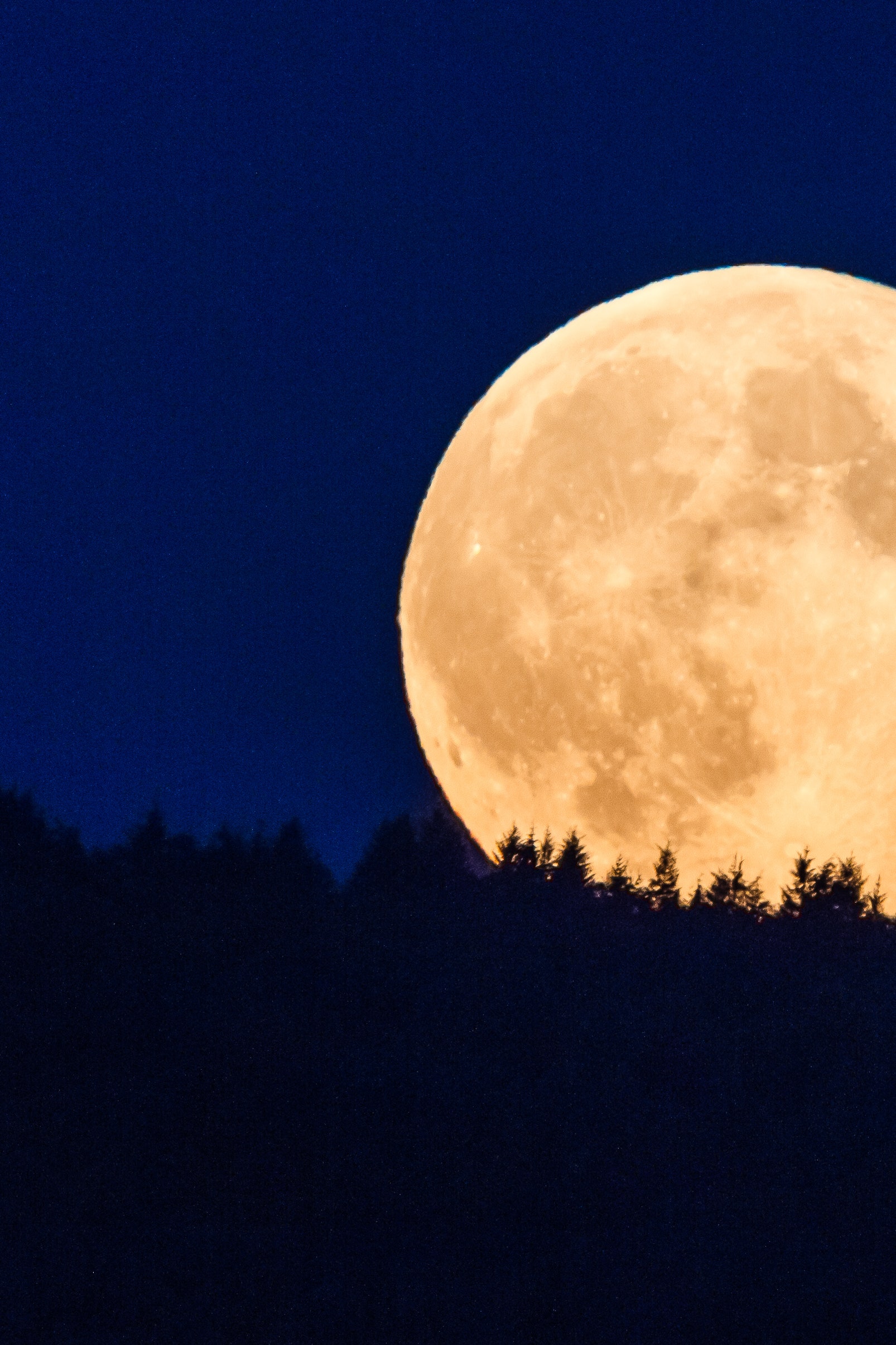 La Super Lune du 15 novembre 2024 nous poussera à dépasser notre résistance au changement