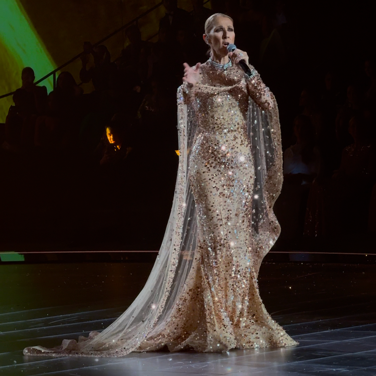 Céline Dion clôt le défilé anniversaire d'Elie Saab à Riyad avec une performance magique