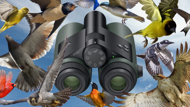 I Went Birding With the World’s First AI-Powered Binoculars