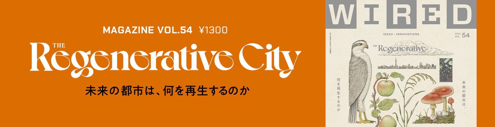 ハリケーン「ヘリーン」が襲った気候ヘイブン──道路再建と将来の洪水対策