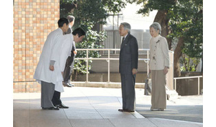 （第１９回） 平常心で丁寧な手術 ＝言葉遣いは混乱